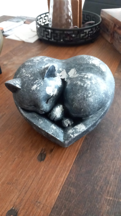 Katze_1